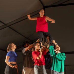 Dividus par ©-Thomas-Bohl-